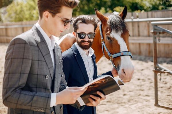Horse betting tipster: ¿qué es?